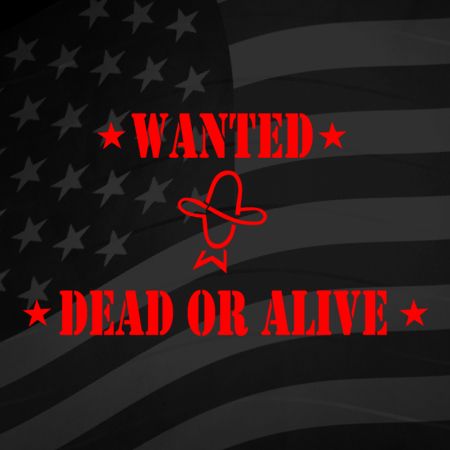 Wanted Dead or Alive Iron on Transfer